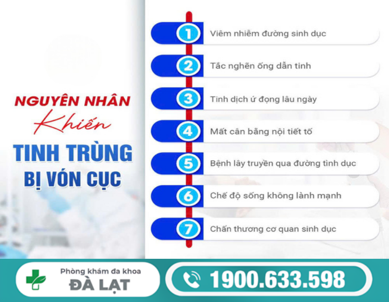 Hình ảnh minh họa